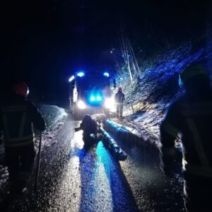Mehr über den Artikel erfahren Baum über Straße