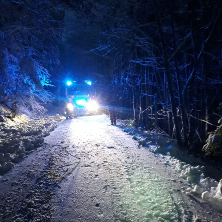 Baum über die Straße