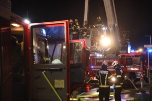 235269_nLZOhTW2rX (Medium)