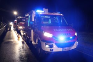 235288_p8McyYQd (Medium)